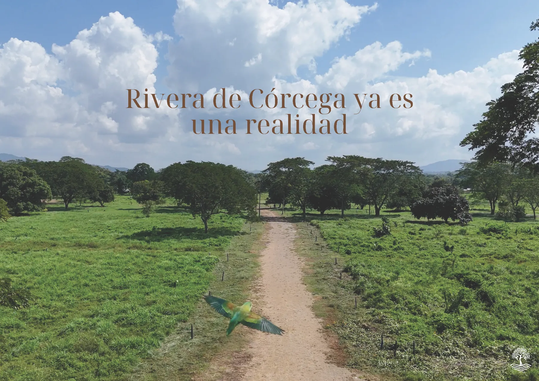 Ubicación del proyecto sobre la Troncal de Occidente - imagen 13