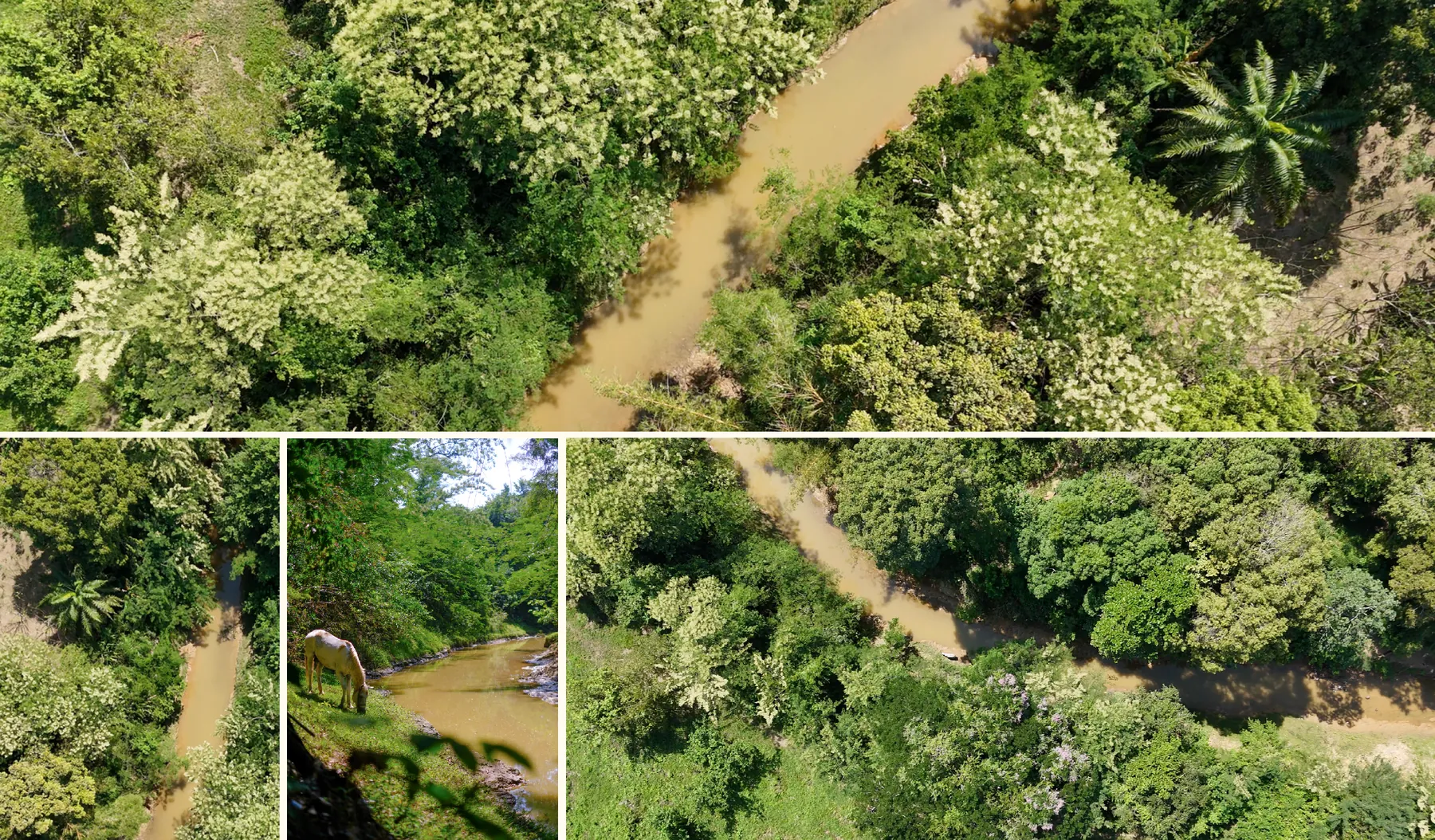 Arroyo de Malagana, borde suroeste del proyecto Rivera de Córcega