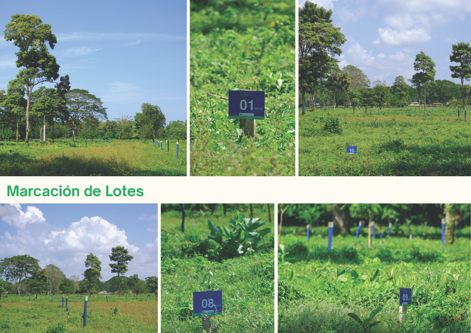 Rivera de Córcega Lotes de Malagana_Página_18